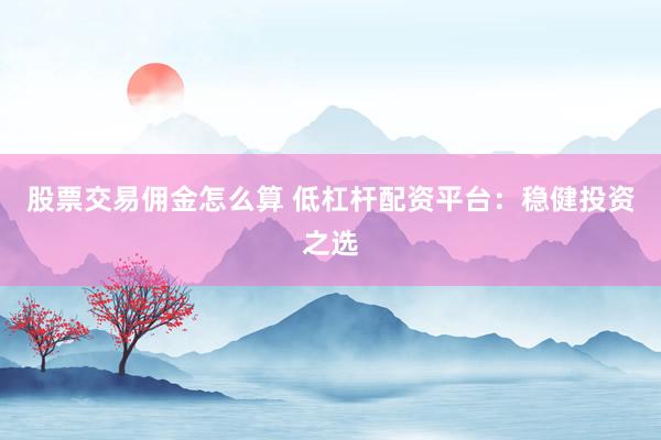 股票交易佣金怎么算 低杠杆配资平台：稳健投资之选