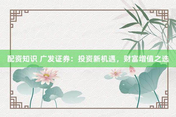 配资知识 广发证券：投资新机遇，财富增值之选