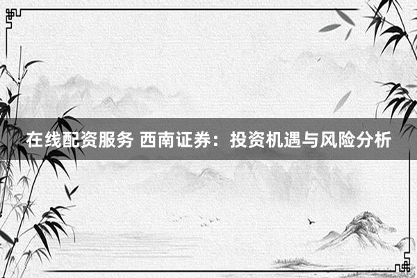 在线配资服务 西南证券：投资机遇与风险分析