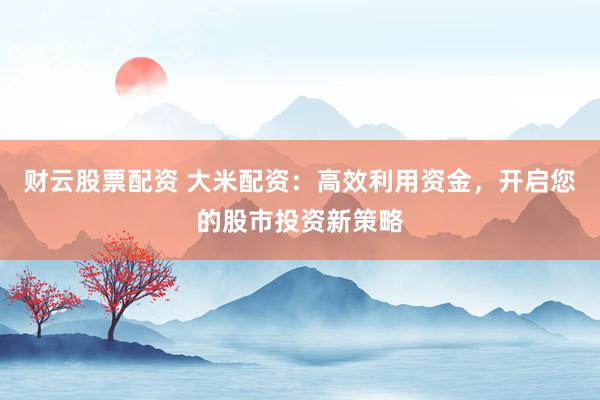财云股票配资 大米配资：高效利用资金，开启您的股市投资新策略