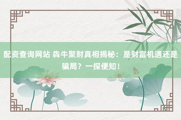 配资查询网站 犇牛聚财真相揭秘：是财富机遇还是骗局？一探便知！