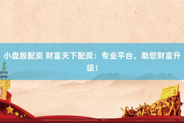小盘股配资 财富天下配资：专业平台，助您财富升级！