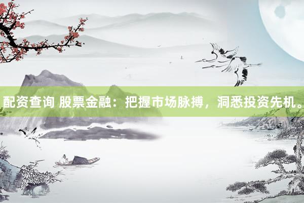 配资查询 股票金融：把握市场脉搏，洞悉投资先机。