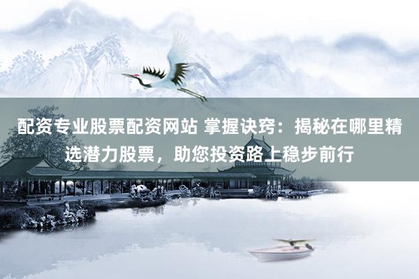 配资专业股票配资网站 掌握诀窍：揭秘在哪里精选潜力股票，助您投资路上稳步前行