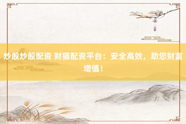 炒股炒股配资 财猫配资平台：安全高效，助您财富增值！