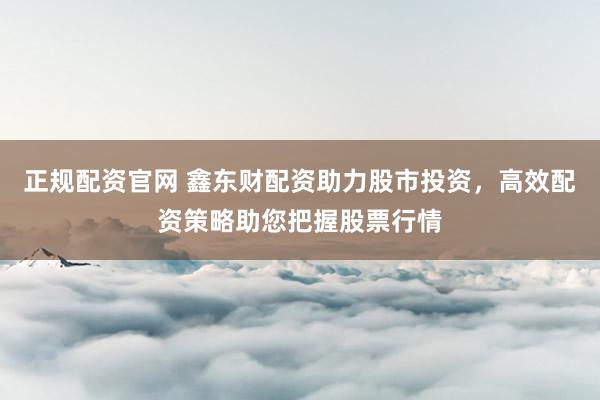正规配资官网 鑫东财配资助力股市投资，高效配资策略助您把握股票行情