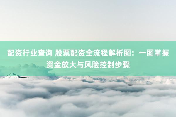 配资行业查询 股票配资全流程解析图：一图掌握资金放大与风险控制步骤