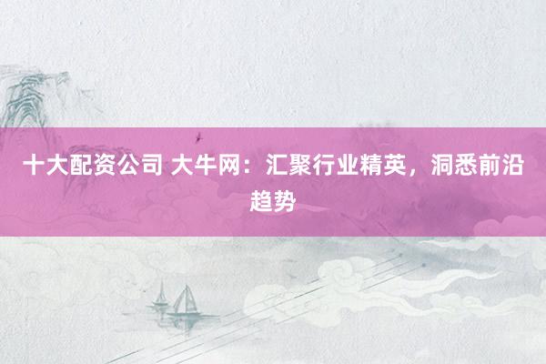 十大配资公司 大牛网：汇聚行业精英，洞悉前沿趋势