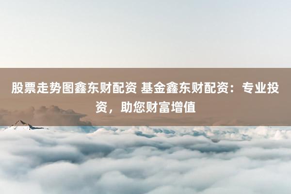 股票走势图鑫东财配资 基金鑫东财配资：专业投资，助您财富增值