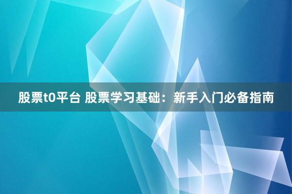 股票t0平台 股票学习基础：新手入门必备指南